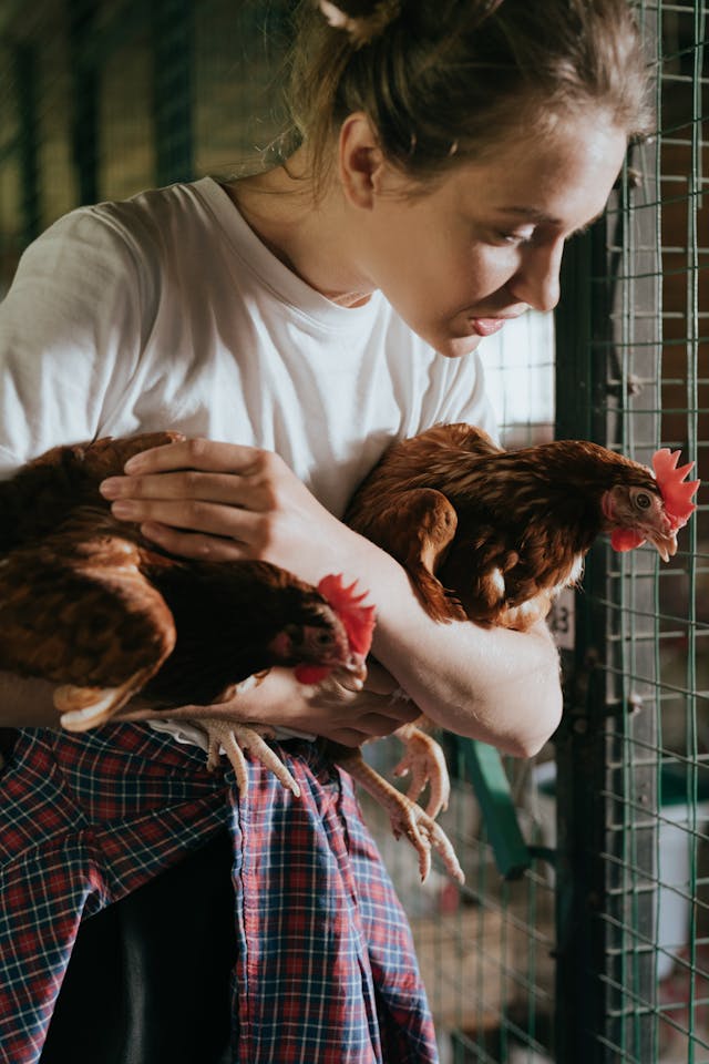 Femme tenant deux poules dans les bras au jardin